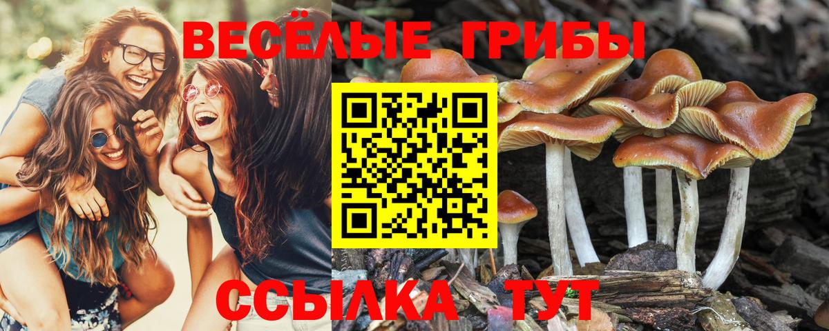 Шарыпово  Галлюциногенные грибы ЛСД  Вход с VPN 